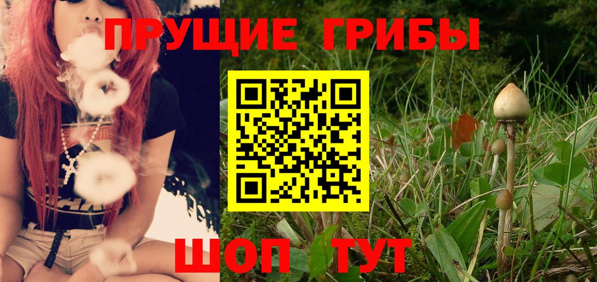 купить закладку  Вход с VPN  Дедовск  Галлюциногенные грибы прущие грибы 