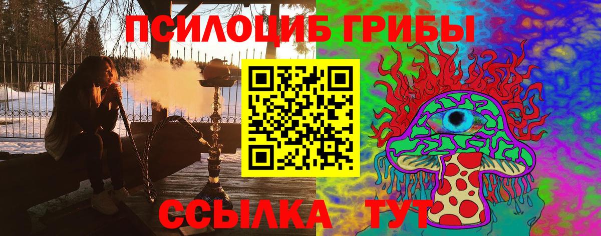 Псилоцибиновые грибы GOLDEN TEACHER Дедовск